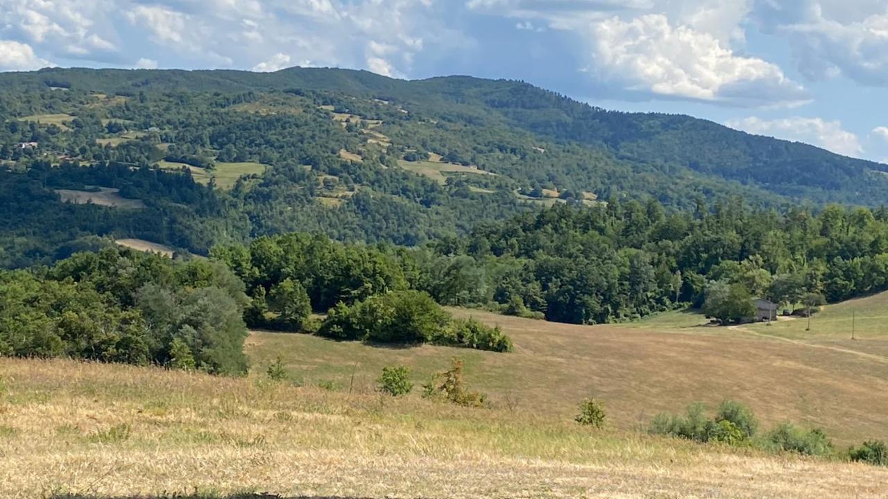 Agriturismo Il Casone San Benedetto Val di Sambro Eksteriør billede